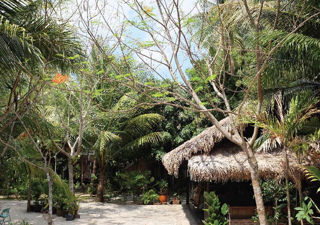 Panji Panji Tropical Wooden Home Pantai Cenang  Eksteriør billede