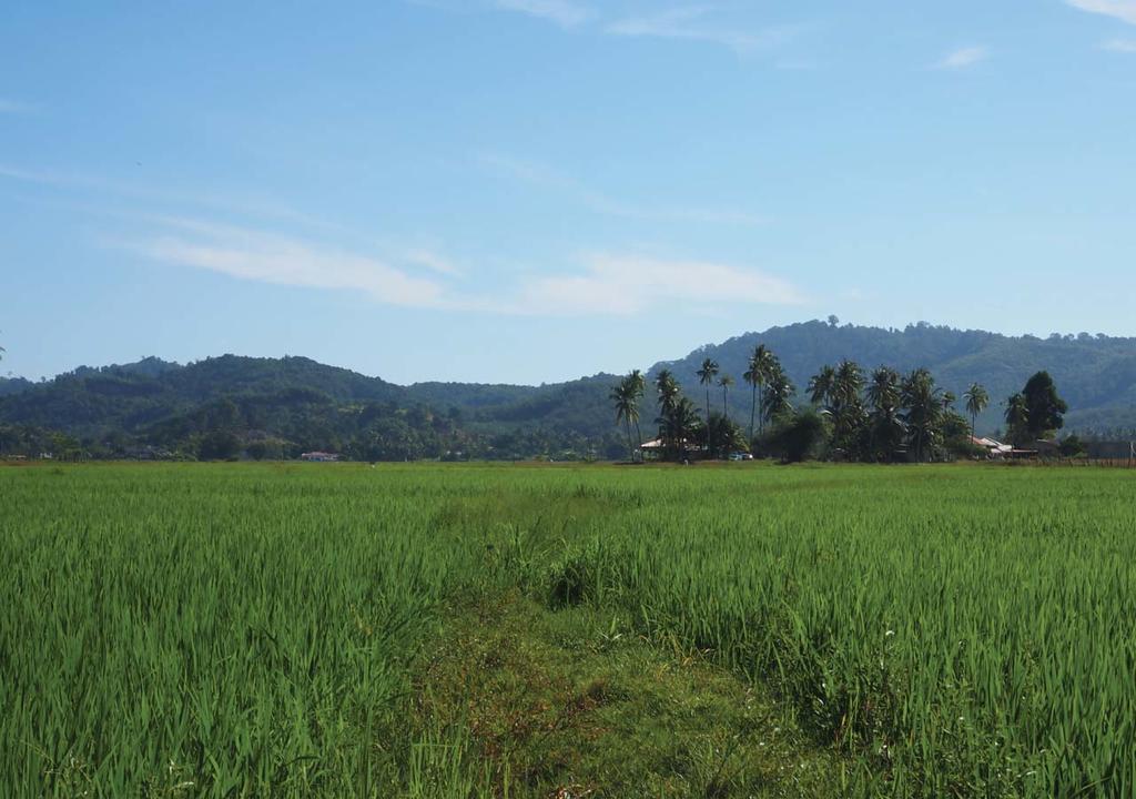 Panji Panji Tropical Wooden Home Pantai Cenang  Eksteriør billede