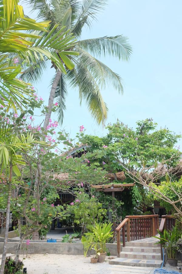 Panji Panji Tropical Wooden Home Pantai Cenang  Eksteriør billede